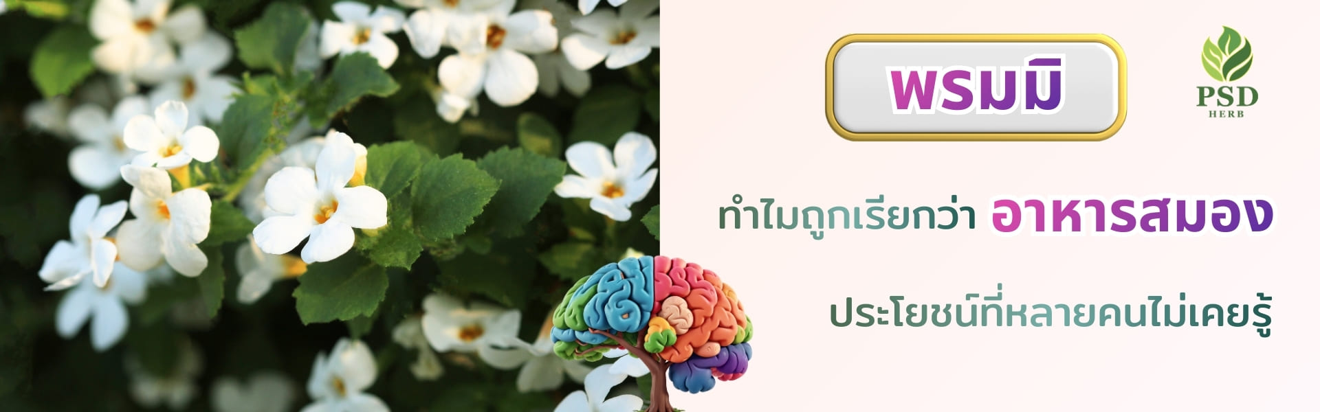 พรมมิ